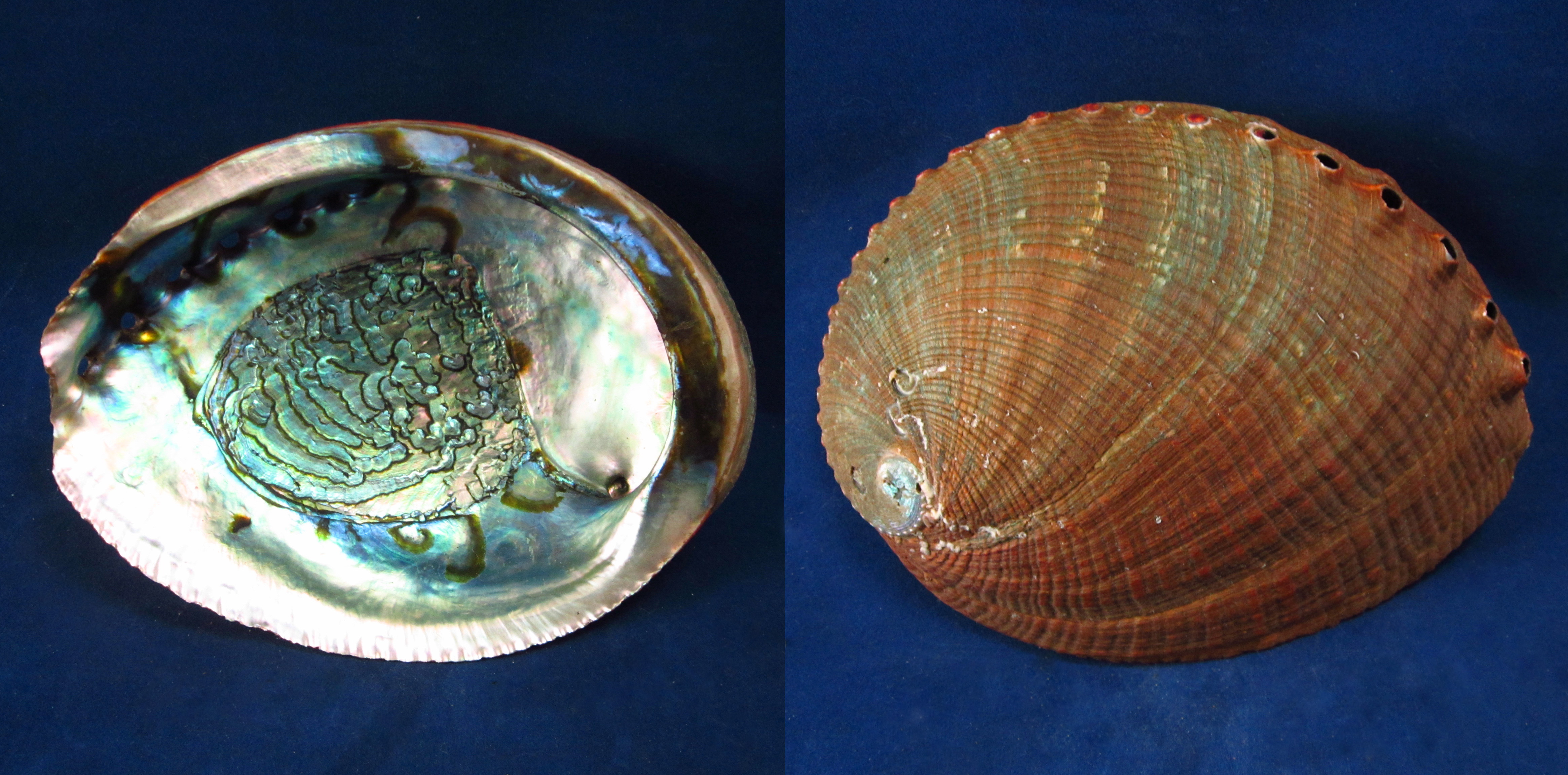 Артикул: HalFul-16